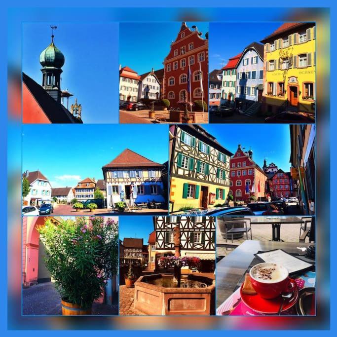 Fewo-Barbara, Ruhige Lage, 15 Min. Zum Europapark Ettenheim Extérieur photo